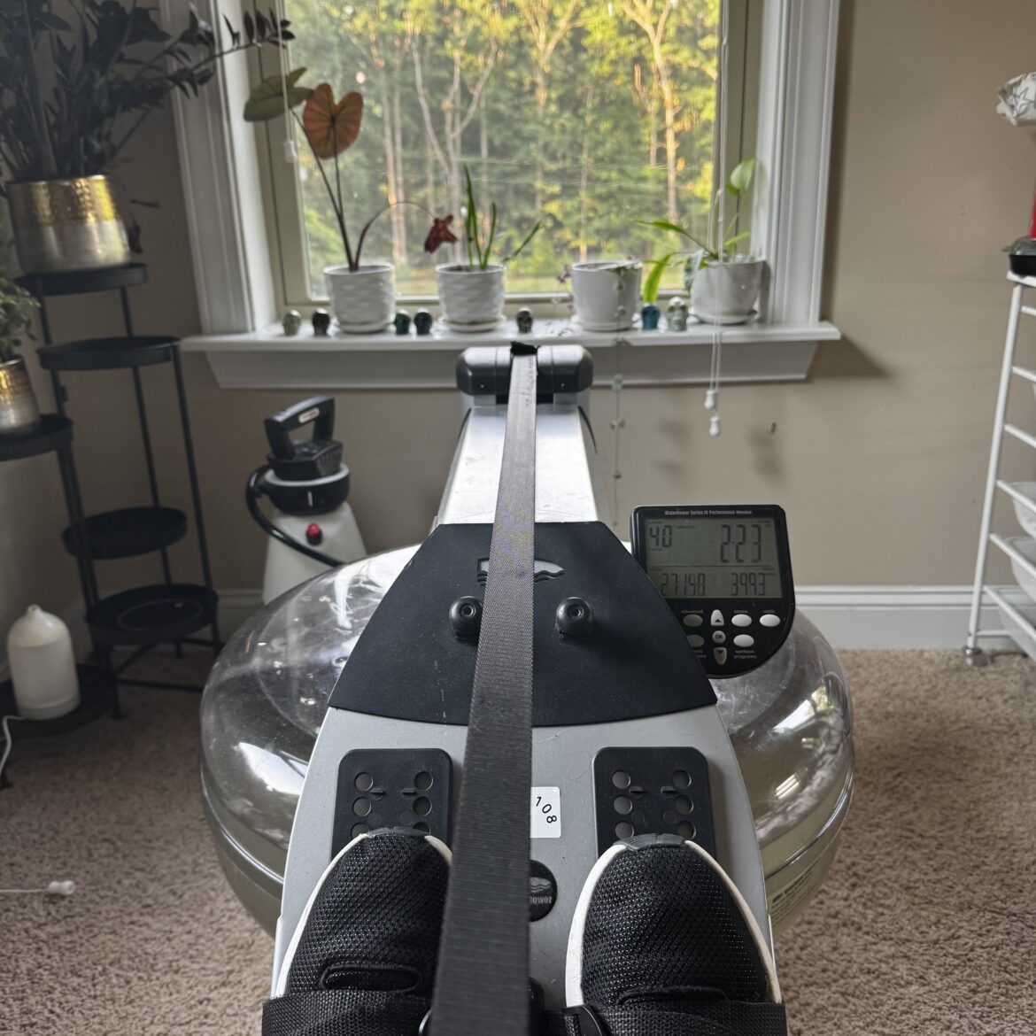 About DeviRa: How I Receive My Visions